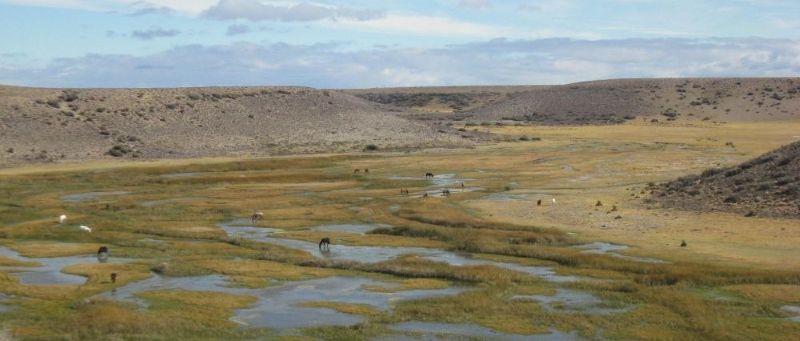 Equipo SEG Geología Ambiental