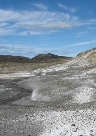 Salinización de suelos